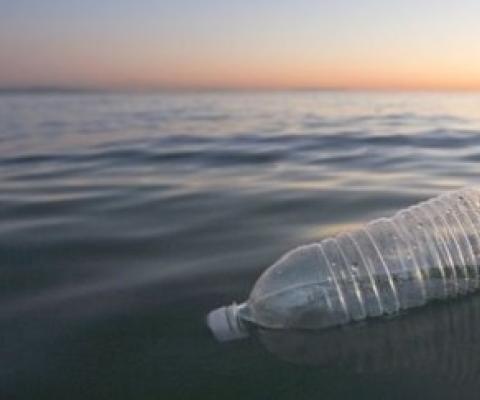 plastic bottle washed up on beach