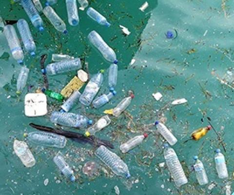 plastic pollution in the ocean. Credit - Nicki Holmyard