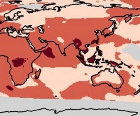 1 / 1More record-breaking temperatures and heat events will occur in the tropics rather than the poles, like many once thought. This region contains a larger share of the world population and more biodiversity. Credit: The University of Washington and the University of Arizona. Credit - www.phys.org