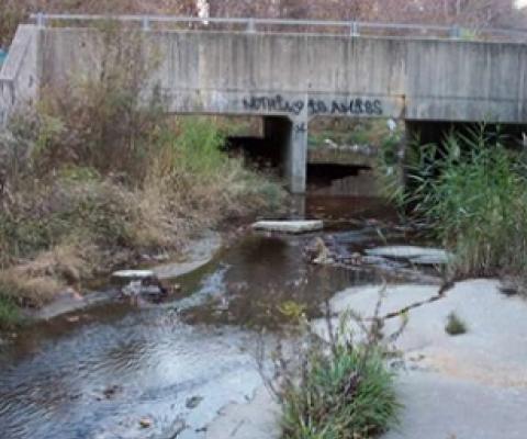 Civil and Environmental Engineering Assistant Professor Aditi Bhaskar’s recent study uncovered profound differences in streamflow changes in various urban watersheds. Credit: Andy Miller