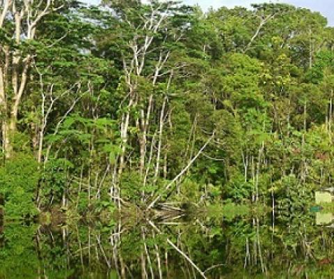 Credit - Kirisitiana Uluwai, www.fbcnews.com.fj