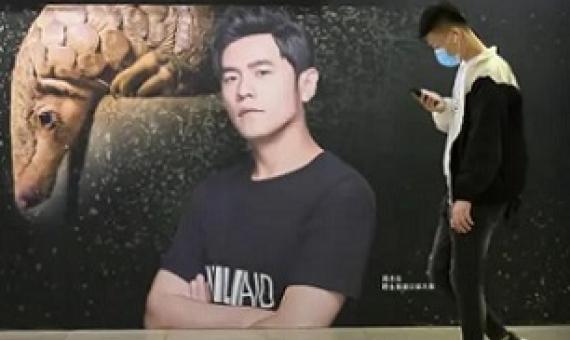 A billboard in Beijing encouraging people to protect pangolins. Photograph: Mark Schiefelbein/AP