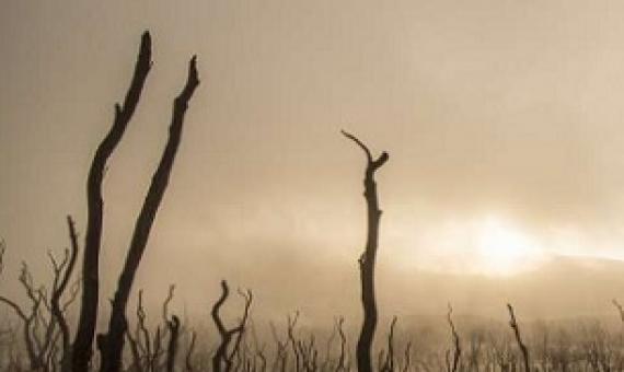 World needs $8.1 trillion investment in nature by 2050 to tackle triple planetary crisis. Credit: CC0 Public Domain