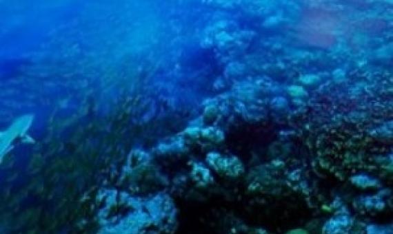 Marovo lagoon_Solomon Islands_S. Chape