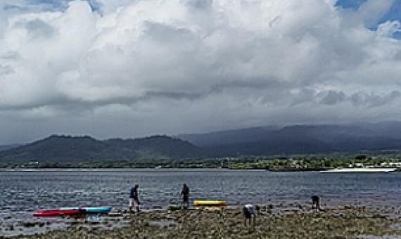 Coral reef restoration by Ferron Fruean and staff. Photo: Junior S. Ami
