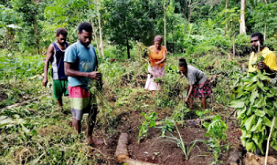 regenerative approaches. credit - https://dailypost.vu/