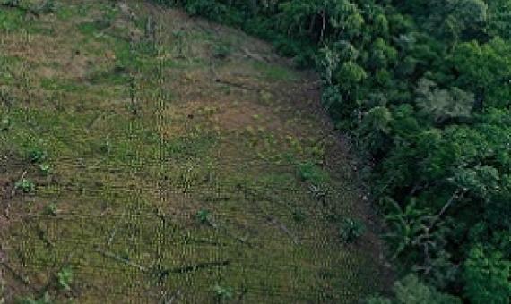 Observers say more new funding is needed, as well as the redirection of the money spent on activities like some agriculture that are harmful to nature. Credit - www.phys.org