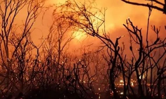 The claim national parks have been ‘locked up’ has been described as a ‘very tired and very old conspiracy that is always regurgitated and it’s always found to be wanting after the fires’. Photograph: Rob Griffith/AFP/Getty Images