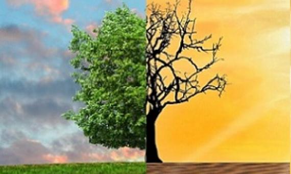 Meeting biodiversity, climate, and water objectives through integrated strategies. Credit: Pixabay/CC0 Public Domain