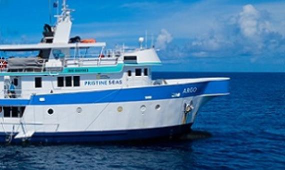 Photo by: Steve Spence/National Geographic Pristine Seas