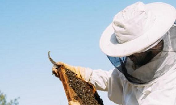 Beekeeper near a bee hive. photo - 123RF