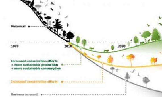 his artwork illustrates the main findings of the article, but does not intend to accurately represent its results. Credit - IIASA
