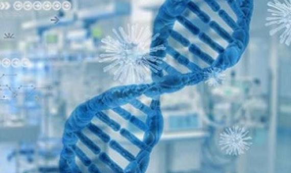 Credit: Pixabay/CC0 Public Domain