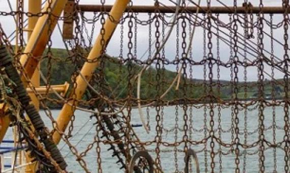 Beam trawlers’ heavy chains are dragged along the seabed, releasing carbon into the seawater. Photograph: aphperspective/Alamy