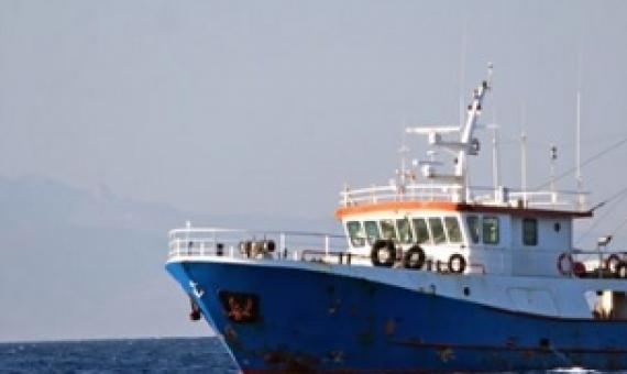 Rules around trawling virgin seabed in the spotlight. Credit - www.rnz.co.nz