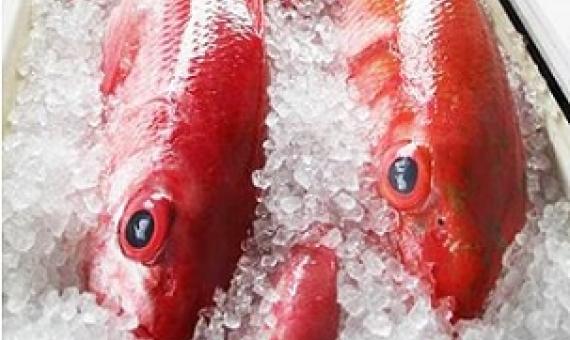 The SSC will set the acceptable biological catch for the American Samoa bottomfish fishery for fishing years 2021-2022. [courtesy photo]