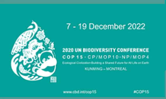 source - https://www.ltandc.org/