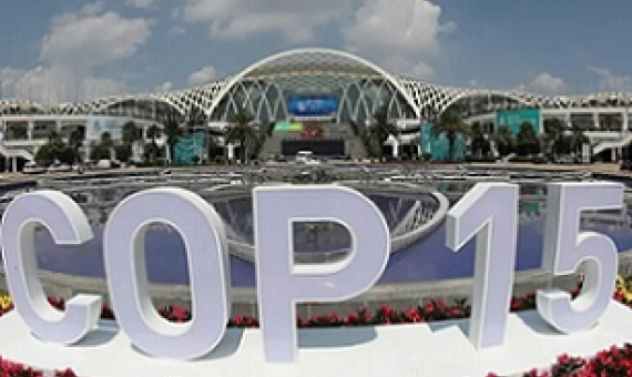 source - www.foodsovereignty.org