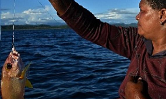 Warmer seas are disrupting coastal ecosystems, while stocks of valuable species have been plundered by foreign vessels. Credit - Steven Trask