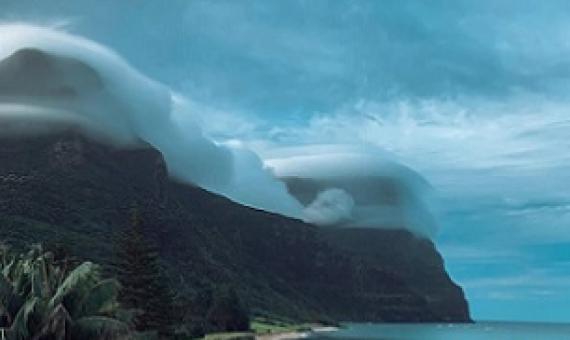 A balanced ecosystem helps the cloud forest appear at the top of Lord Howe Island mountains.(Supplied: Bree-Anna Brunjes)