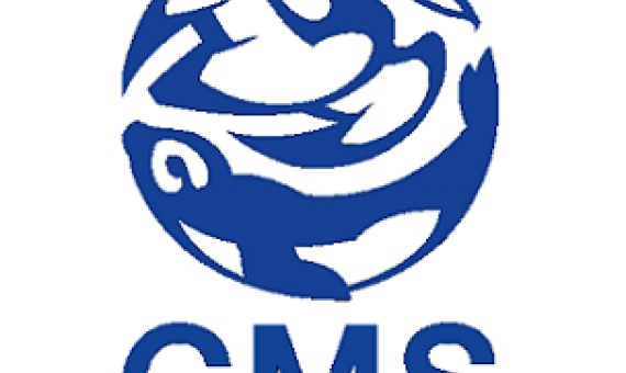 CMS logo