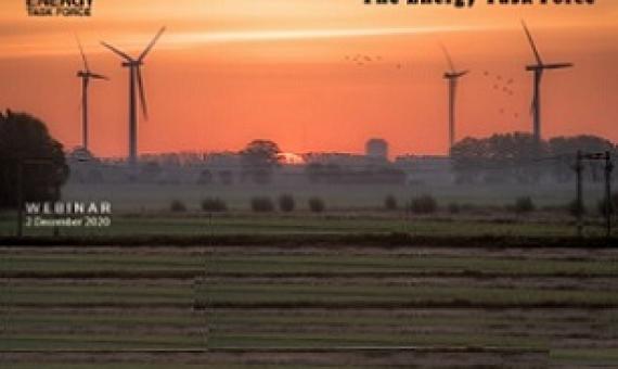 CMS webinar flyer. credit - www.cms.int