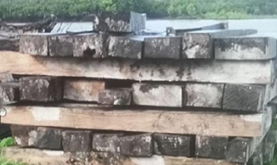 COI reveals Illegal Logging in Batbang, Aore, Matevulu, VATHE. Credit - COI report