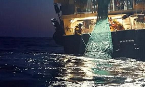 ‘t’s time to see the oceans in a new light.’ Still from the documentary Seaspiracy. Photograph: Sea Shepherd