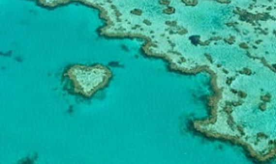 Credit: Edward Hodgkin