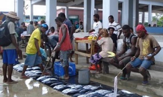 Coastal fisheries provide vital food security and household incomes throughout the Pacific Islands. The fish market, Auki, Malaita Province, Solomon Islands. Credit: Catherine Wilson/IPS