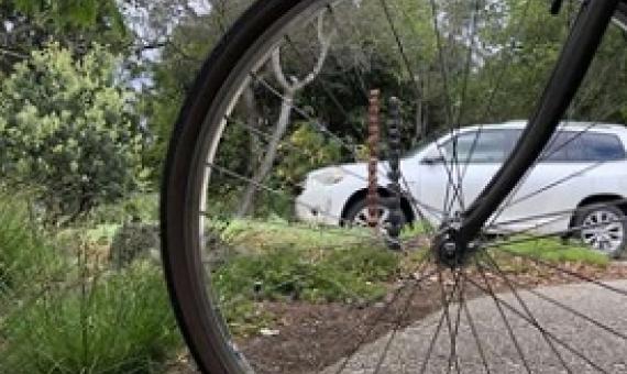 Global carbon dioxide emissions are down dramatically in the wake of COVID-19. A new study pinpoints where energy demand has dropped the most, estimates the impact on annual emissions and points the way to a less polluted future. Credit: Rob Jackson / Stanford University