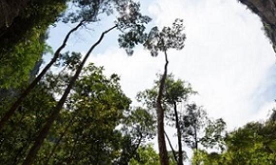 A panhole at Chiribiquete National Park, Colombia/IUCN, Charles Besancon