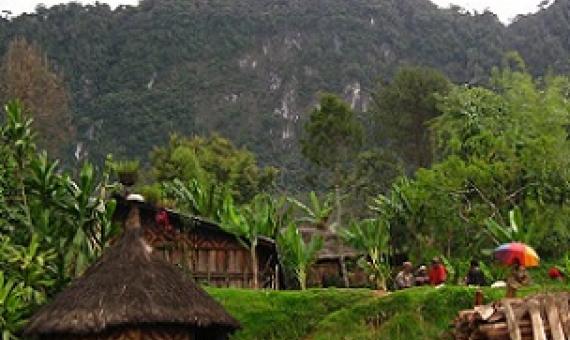 Chimbu Province, Papua New Guinea. Credit - David Bacon, Creative Commons (CC BY 2.0)