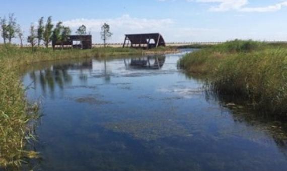 The extensively restored Yingwuzhou wetland (pictured) in Shanghai, China, emits less methane than a nearby wild wetland. Credit: Xuechu Chen