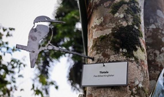 One of the metal birds found at the Art Whistler Memorial Garden. Photo: Junior S Ami