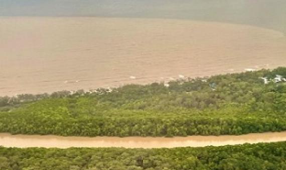 Reforestation could help save coral reefs from catastrophe. Credit - Hoegh Guldberg