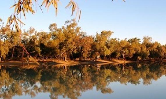 Currawinya National Park Queensland Australia. creative commons