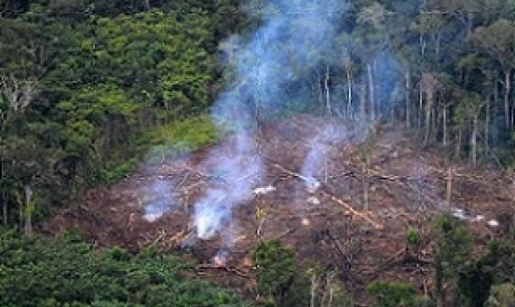 The researchers said that governments had consistently failed to address the root cause of climate change: "the overexploitation of the Earth". Credit - www.phys.org