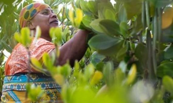 Credit - Sarah Waisa