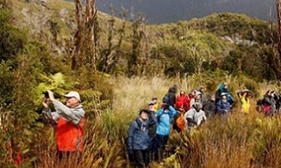 Heritage Expeditions tour of Doubtful Sound. Credit - KATE EVANS/STUFF