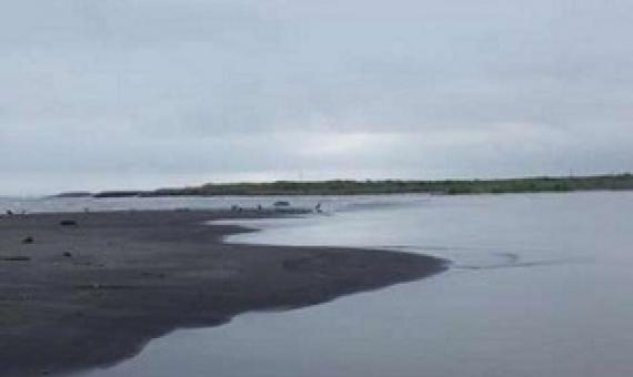 Mukawa estuary, Hokkaido, one of the 22 estuaries sampled for the study. Credit: Akihide Kasai