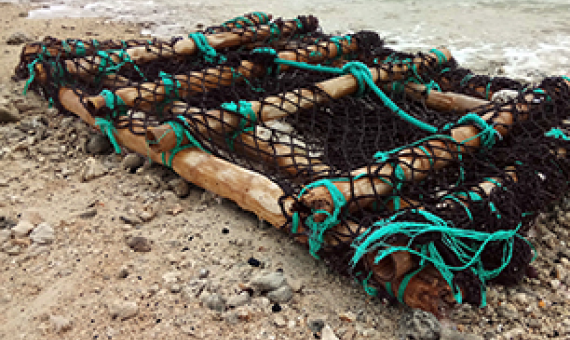 Credit - RaroLens2/Shutterstock  