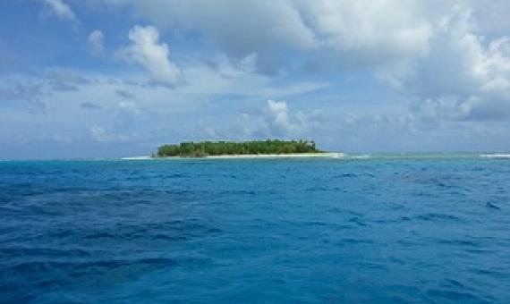 Funafuti Conservation Area, Tuvalu. Credit - V. Jungblut