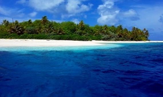 Funafuti Conservation Area, Tuvalu. Credit - V. Jungblut