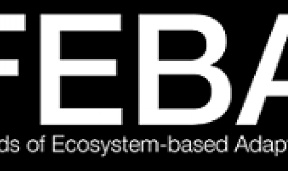 FEBA logo