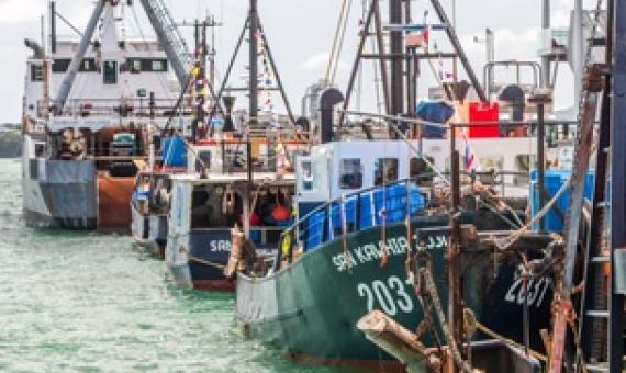 New Zealand introduces plan to put camera aboard all its fishing vessels. Source - https://www.seafoodsource.com/