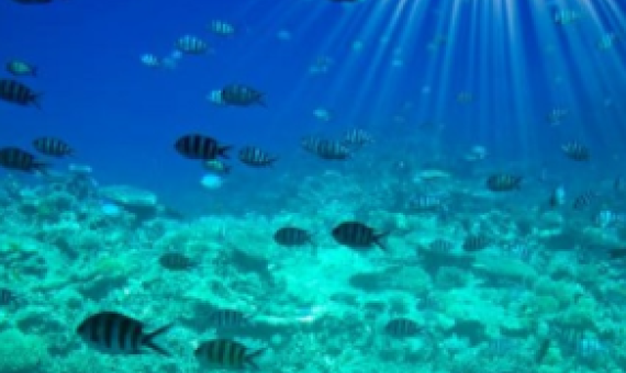 marine protected area, Fiji