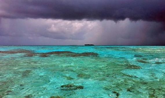 Funafuti Conservation Area, Tuvalu. Credit - V. Jungblut