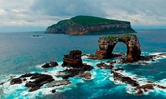 Galapagos Marine Reserve, Ecuador. Credit - https://naturegalapagos.com/