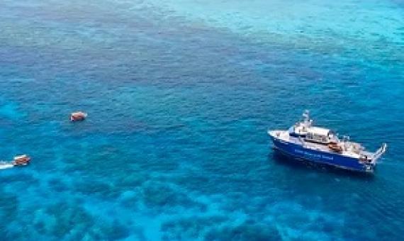 More than 100 coral reef scientists took part in the feasibility study. Nick Thake/AIMS, Author provided